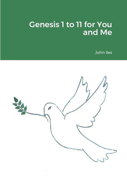 Genesis 1 To 11 For You And Me