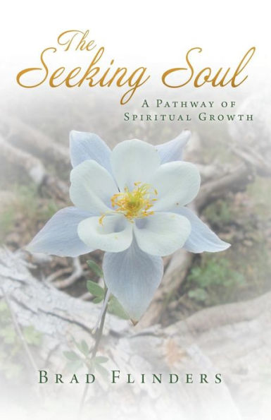 The Seeking Soul: A Pathway Of Spiritual Growth