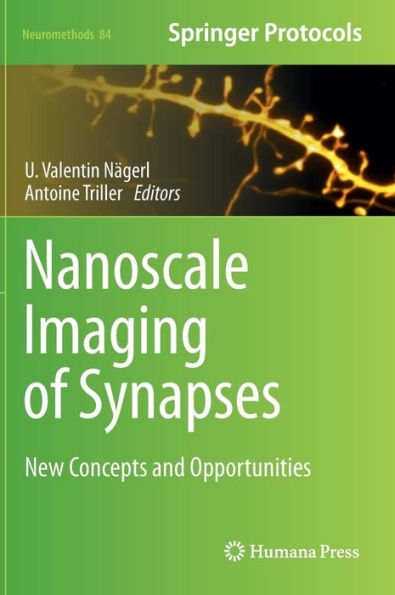 Nanoscale Imaging Of Synapses: New Concepts And Opportunities (Neuromethods, 84)