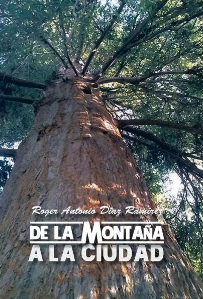 De La Montana A La Ciudad: El Nino Pobre (Spanish Edition)