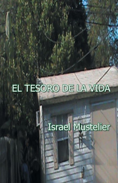 El Tesoro De La Vida (Spanish Edition)