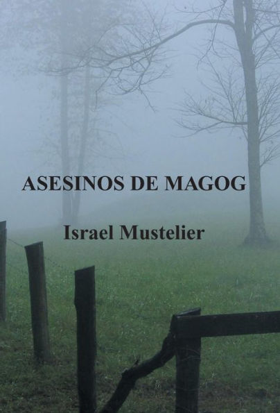 Asesinos De Magog (Spanish Edition)