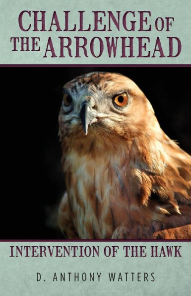 Challenge Of The Arrowhead: Intervention Of The Hawk