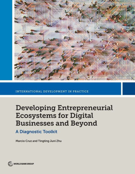 Developing Entrepreneurial Ecosystems For Digital Businesses And Beyond: A Diagnostic Toolkit (International Development In Practice)