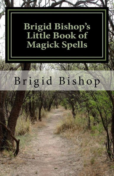 Brigid Bishop's Little Book Of Magick Spells: 21St Century Magick