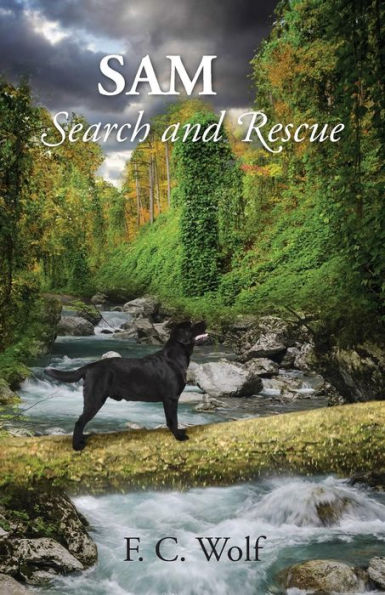 Sam: Search And Rescue