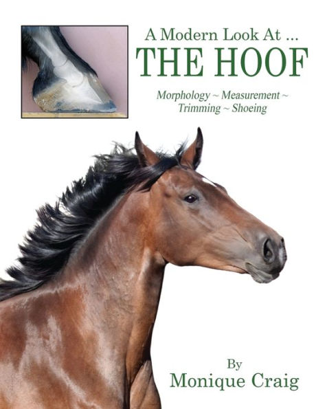 A Modern Look At ... The Hoof: Morphology Measurement Trimming Shoeing