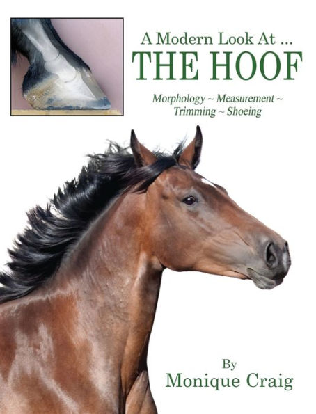 A Modern Look At ... The Hoof: Morphology Measurement Trimming Shoeing