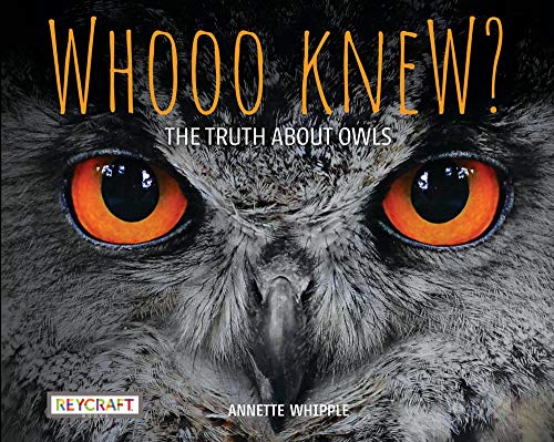 Whooo Knew? the Truth About Owls