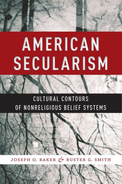 American Secularism: Cultural Contours Of Nonreligious Belief Systems (Religion And Social Transformation, 3)