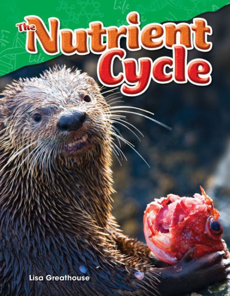 Teacher Created Materials - Science Readers: Content And Literacy: The Nutrient Cycle - Grade 4 - Guided Reading Level Q