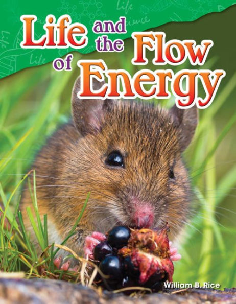 Teacher Created Materials - Science Readers: Content And Literacy: Life And The Flow Of Energy - Grade 5 - Guided Reading Level R