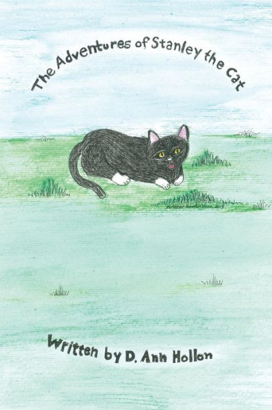 The Adventures Of Stanley The Cat
