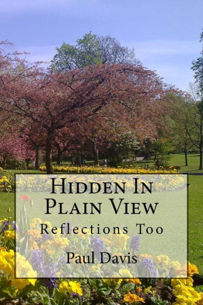 Hidden In Plain View: Reflections Too