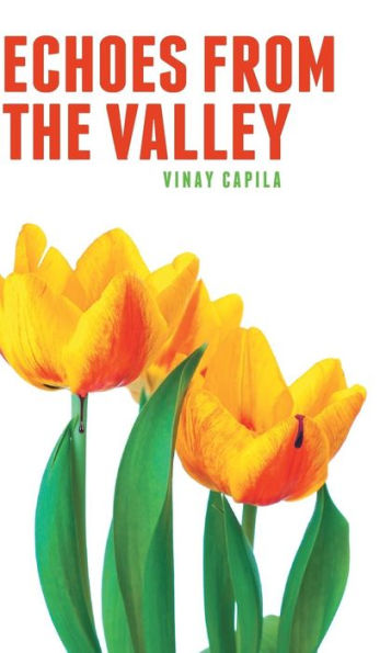 Echoes From The Valley