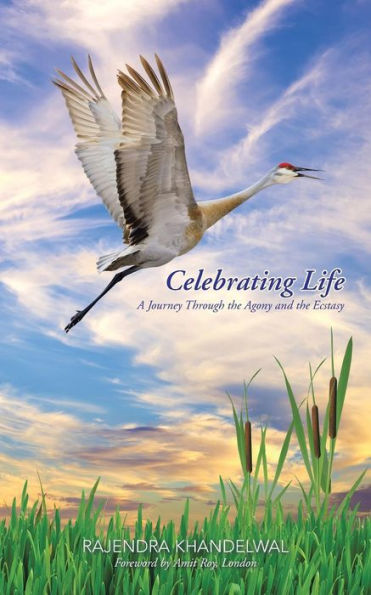 Celebrating Life: A Journey Through The Agony And The Ecstasy Foreword By Amit Roy, London