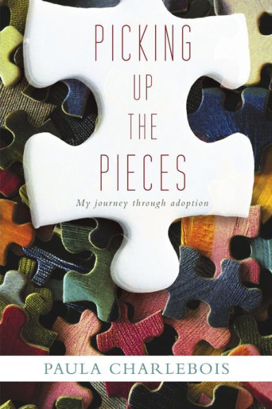 Picking Up The Pieces: My Journey Through Adoption