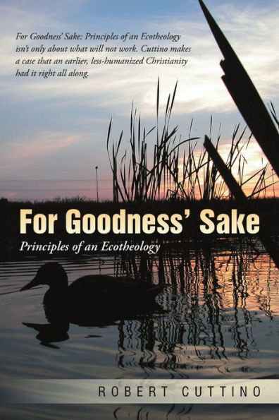 For Goodness?Sake: Principles Of An Ecotheology