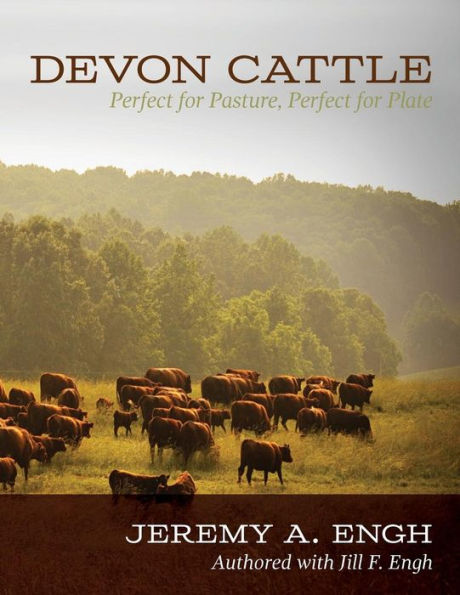 Devon Cattle: Perfect For Pasture, Perfect For Plate