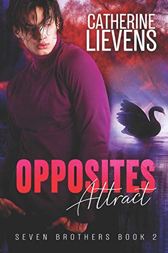 Opposites Attract (Seven Brothers)
