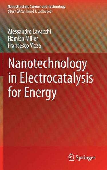 Nanotechnology In Electrocatalysis For Energy (Nanostructure Science And Technology, 170)