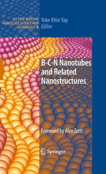 B-C-N Nanotubes And Related Nanostructures (Lecture Notes In Nanoscale Science And Technology, 6)