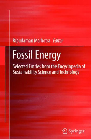 Fossil Energy: Selected Entries From The Encyclopedia Of Sustainability Science And Technology
