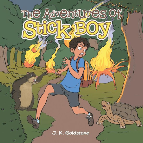 The Adventures Of Stick Boy