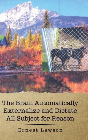 The Brain Automatically Externalize And Dictate All Subject For Reason