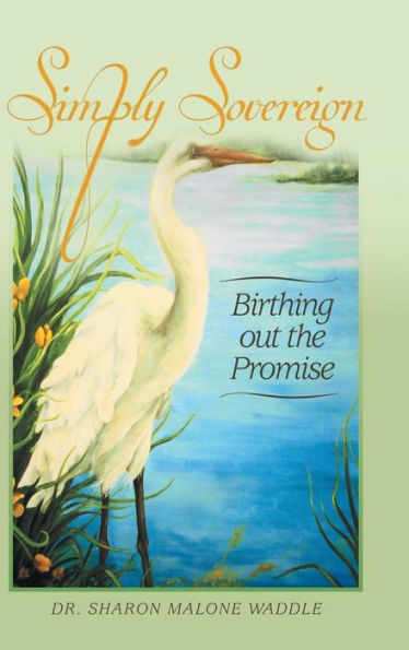 Simply Sovereign: Birthing Out The Promise