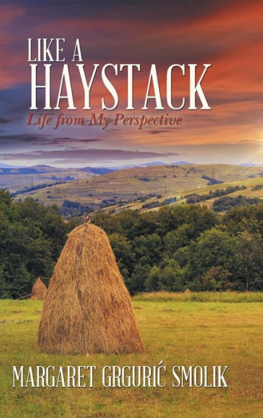 Like A Haystack: Life From My Perspective