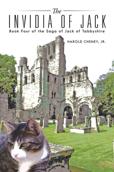 The Invidia Of Jack: Book Four Of The Saga Of Jack Of Tabbyshire