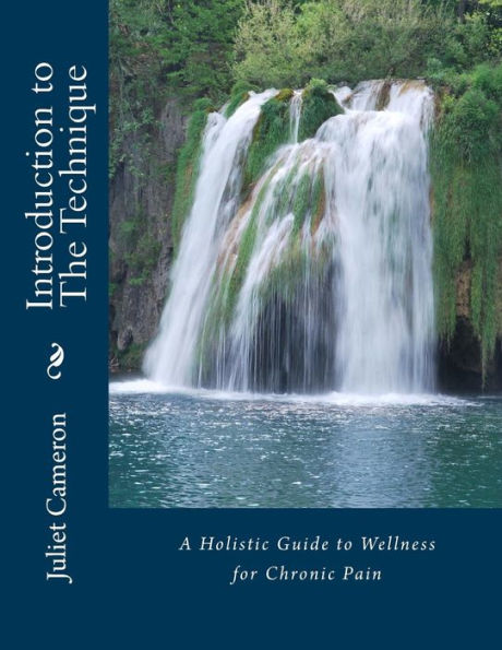Introduction To The Technique: A Holistic Guide To Wellness For Chronic Pain