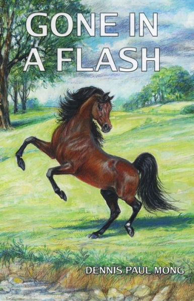 Gone In A Flash