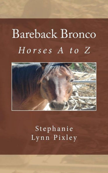 Bareback Bronco (Horses A To Z)