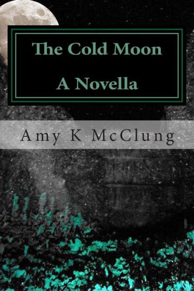 The Cold Moon: A Mitchell Davis Novella (The Parker Harris Series)