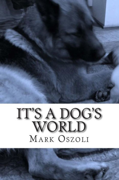 It's A Dog's World: A Dog Behavior And Training Guide For The Everyday Dog Owner.