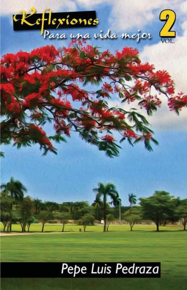 Reflexiones Para Una Vida Mejor - Vol. 2 (Spanish Edition)