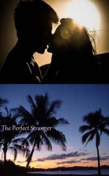 The Perfect Stranger - 9781514225905