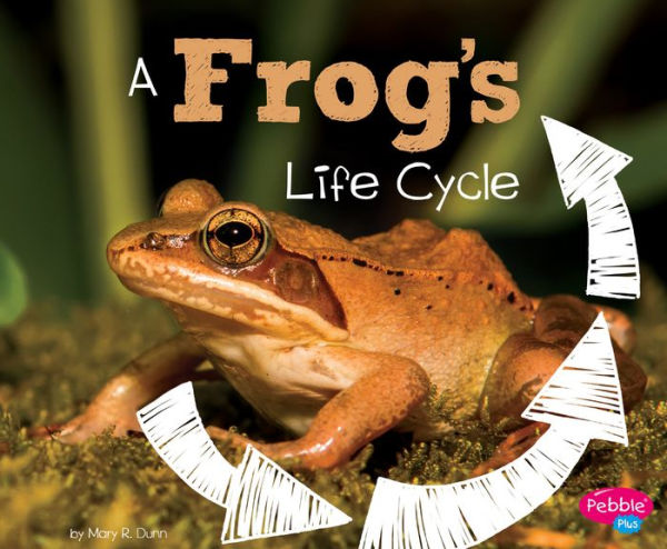 A Frog's Life Cycle (Explore Life Cycles)