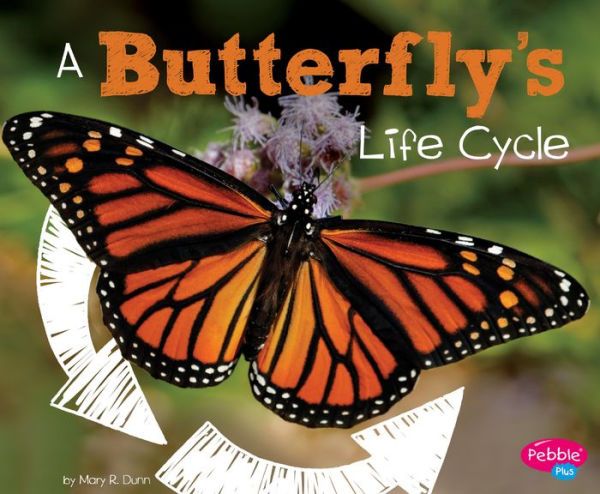 A Butterfly's Life Cycle (Explore Life Cycles) - 9781515770596