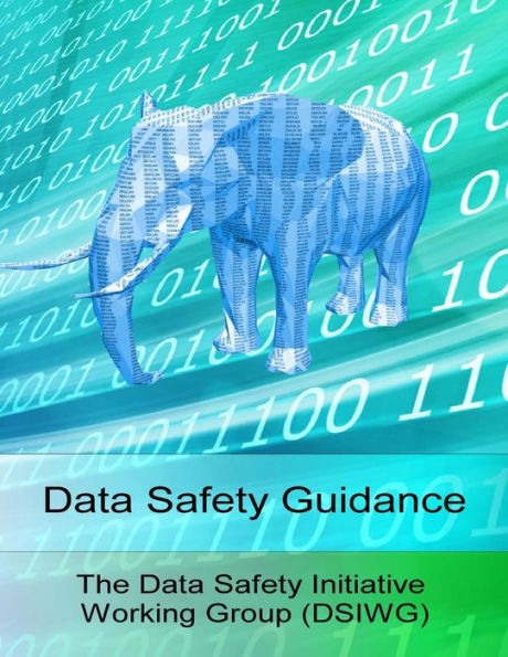 Data Safety Guidance - 9781519533579