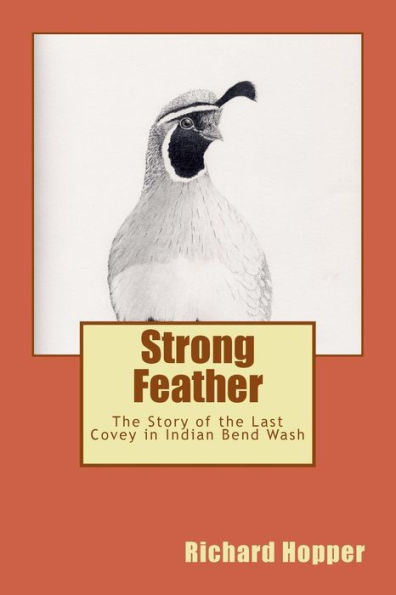 Strong Feather: The Story Of The Last Covey In Indian Bend Wash