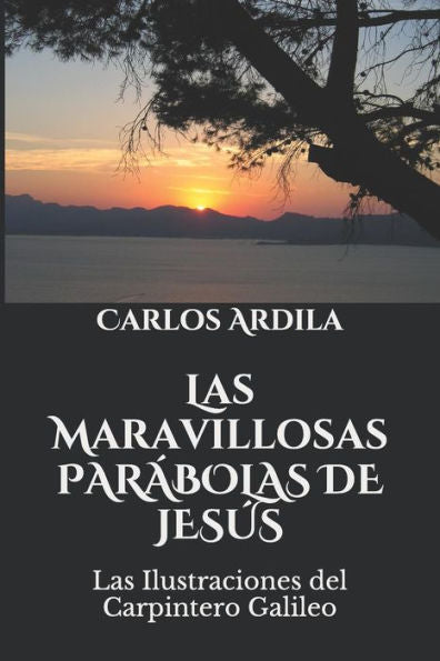 Las Maravillosas ParAbolas De JesUs: Las Ilustraciones Del Carpintero Galileo (Spanish Edition)