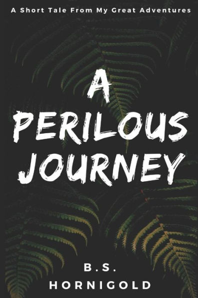 A Perilous Journey: A Short Tale From My Great Adventures (The B.S. Hornigold Series)