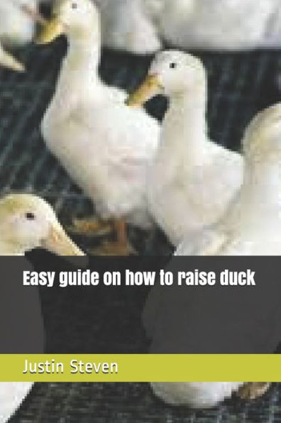 Easy Guide On How To Raise Duck