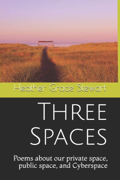 Three Spaces: Poems About Our Private Space, Public Space, And Cyberspace (Where The Butterflies Go)