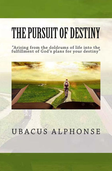The Pursuit Of Destiny