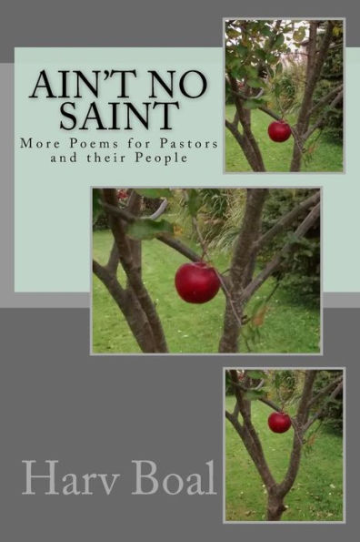 Ain't No Saint: More Poems For Pastors And Their People (Poetry Series)