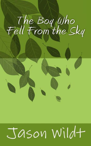 The Boy Who Fell From The Sky